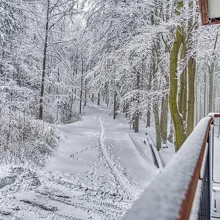 Daire Apartament 28 Blisko Norweskiej Polany - 5d *